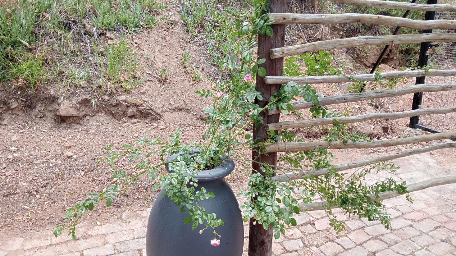 Kranskloof Country Lodge Oudtshoorn Exterior photo