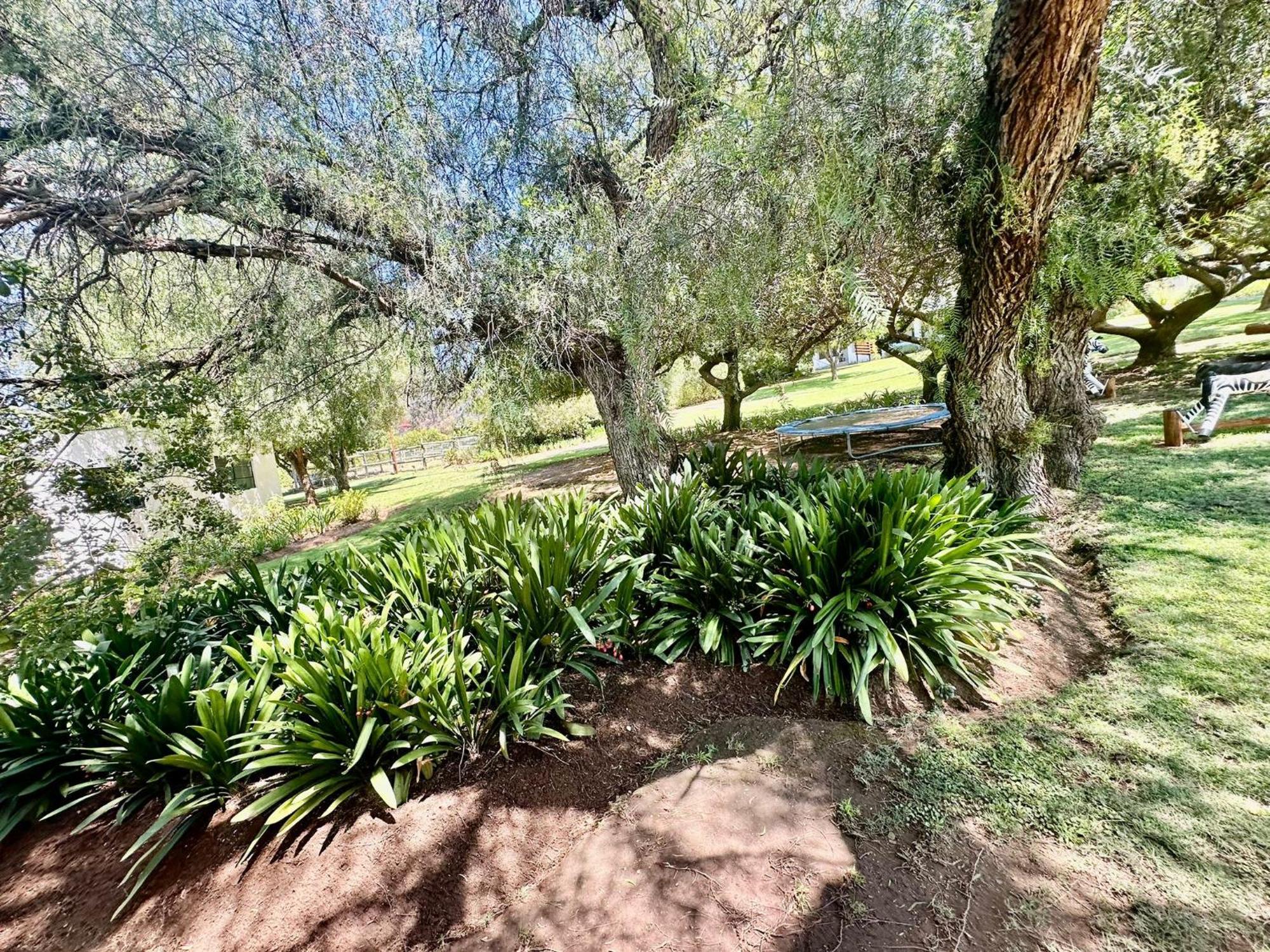 Kranskloof Country Lodge Oudtshoorn Exterior photo